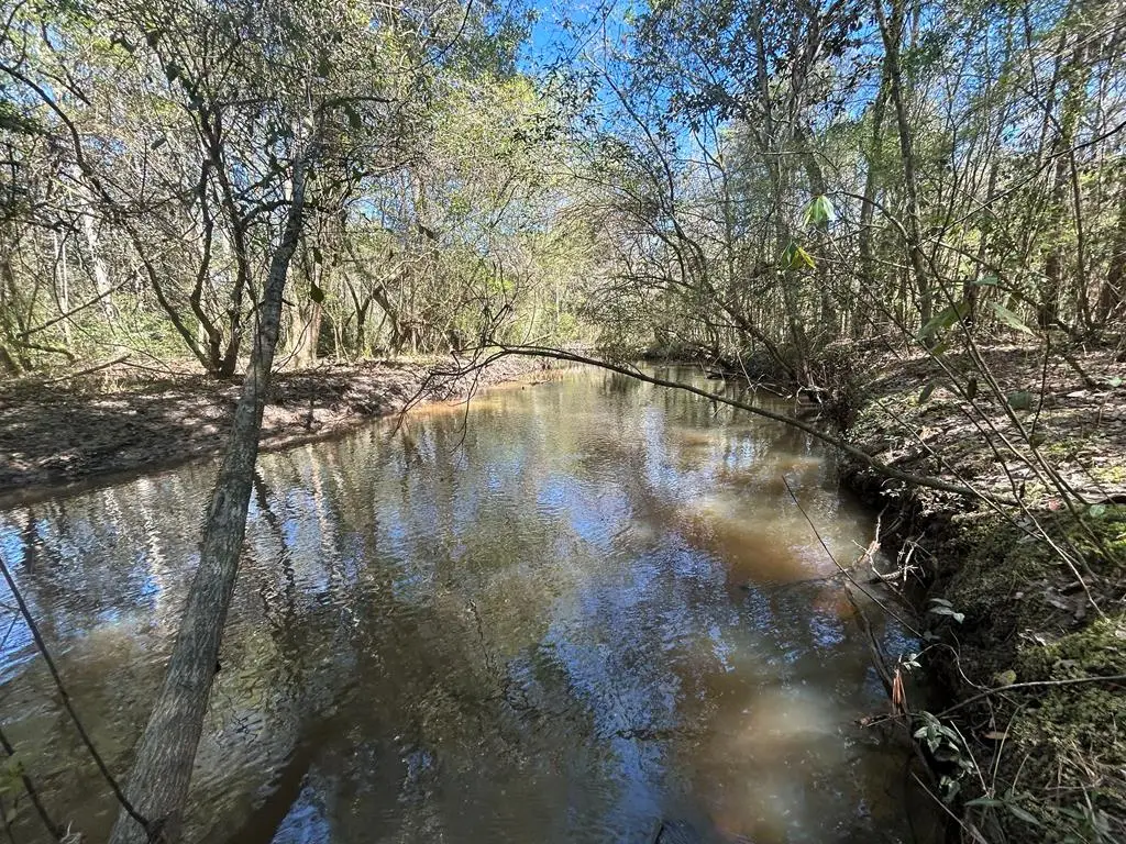 923 Lakeview Rd (159+-ac), Slocomb, AL 36375 - #1