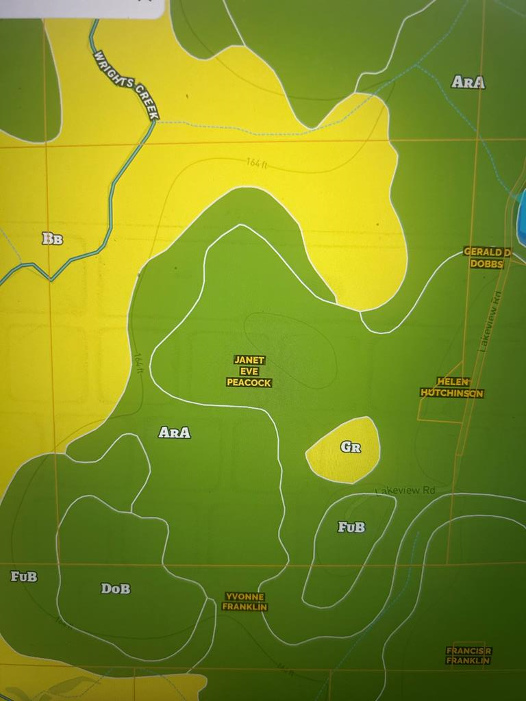 923 Lakeview Rd (159+-ac), Slocomb, AL 36375 - #3