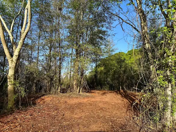5.14 Acres N County Road 61, Hartford, AL 36344