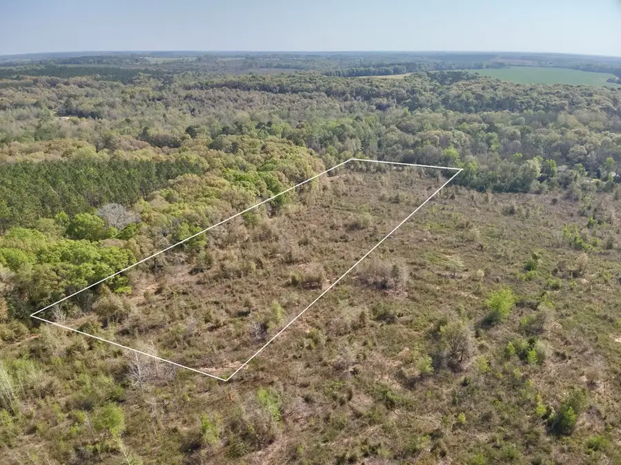 5.14 Acres N County Road 61, Hartford, AL 36344 - #3