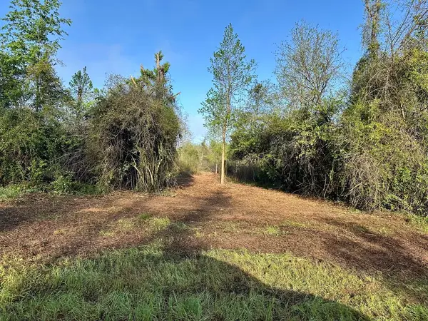5.58 Acres N County Road 61, Hartford, AL 36344