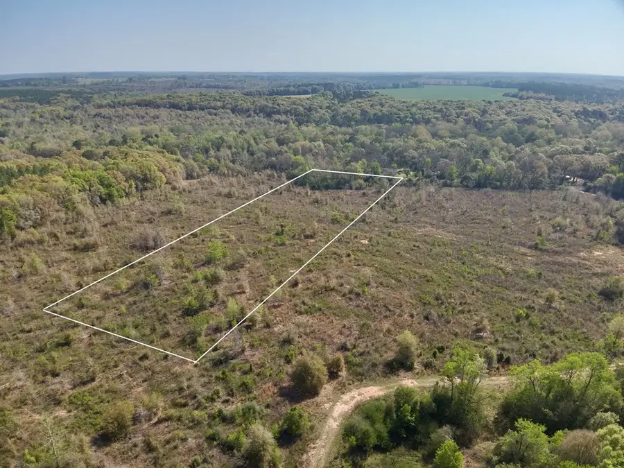 5.58 Acres N County Road 61, Hartford, AL 36344 - #2