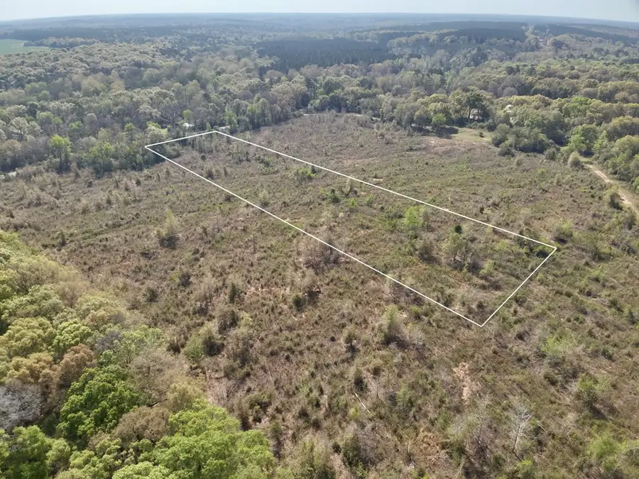 5.58 Acres N County Road 61, Hartford, AL 36344 - #3