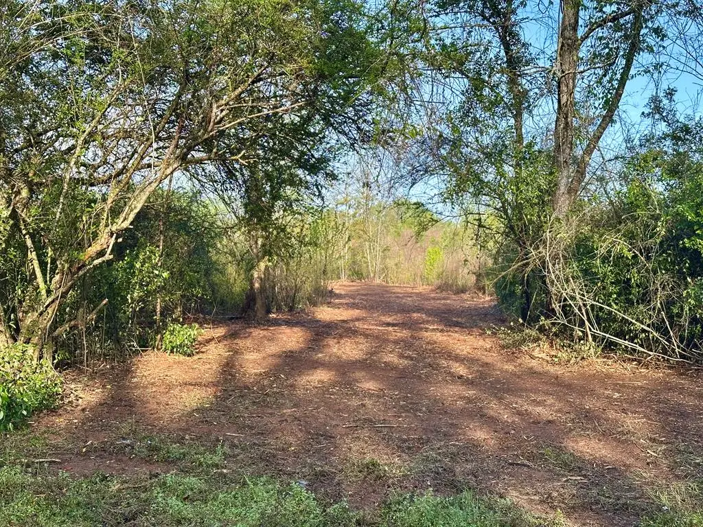 5.65 Acres N County Road 61, Hartford, AL 36344 - #1