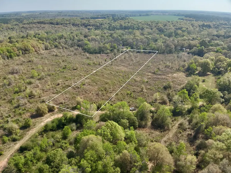 5.65 Acres N County Road 61, Hartford, AL 36344 - #3