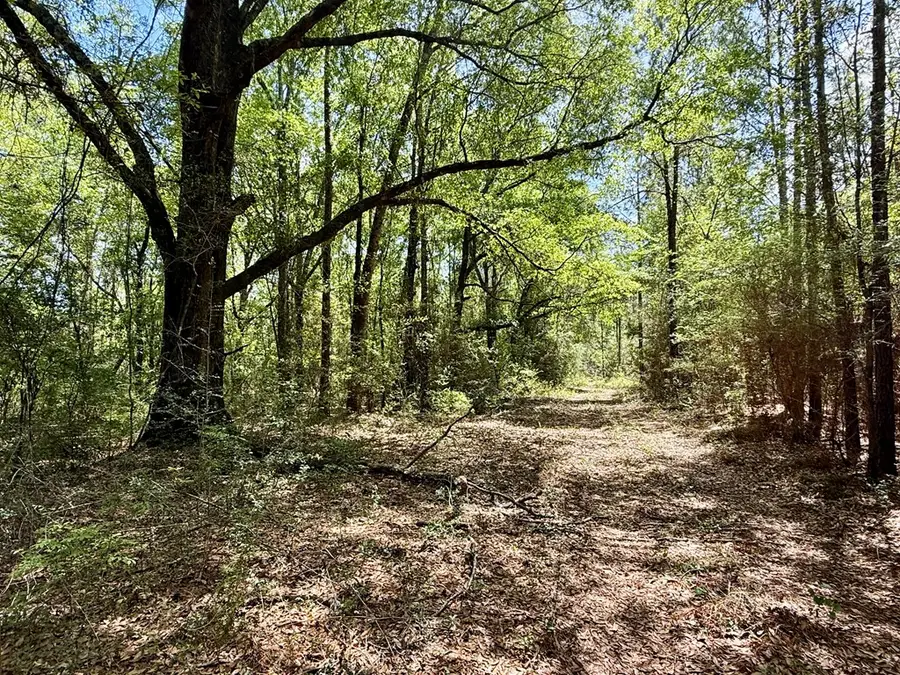 73 Acres Millville Road, Hartford, AL 36344 - #2