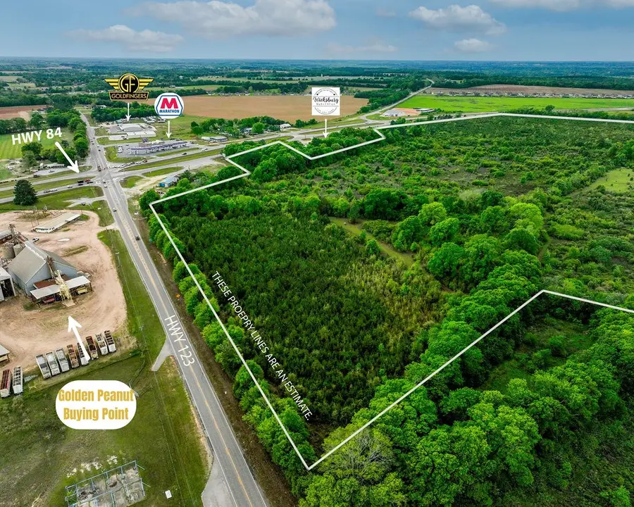 190 Acres W U S 84, Newton, AL 36352 - #2