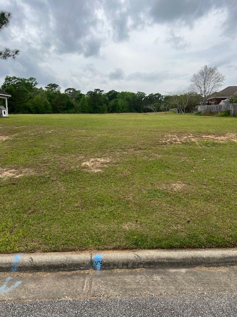 206 Wynnfield Way, Dothan, AL 36301 - #2