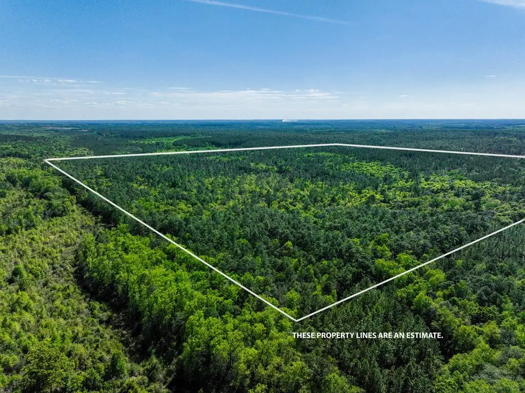 165+/- Acres Harrison Rd, Kinston, AL 36453 - #1
