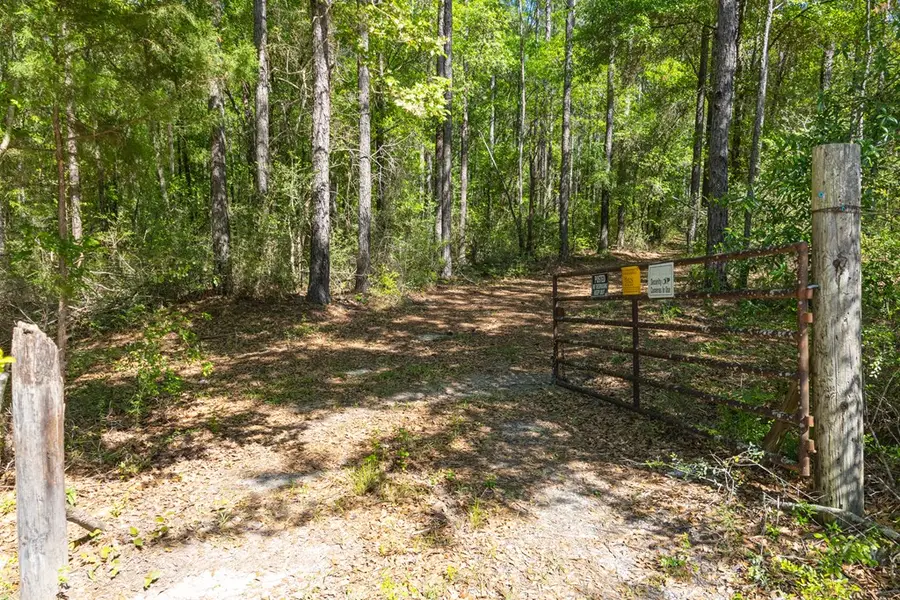 165+/- Acres Harrison Rd, Kinston, AL 36453 - #2