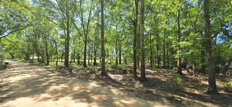 800 Grady Garner Rd (4.9 Acres), Slocomb, AL 36375 - #2