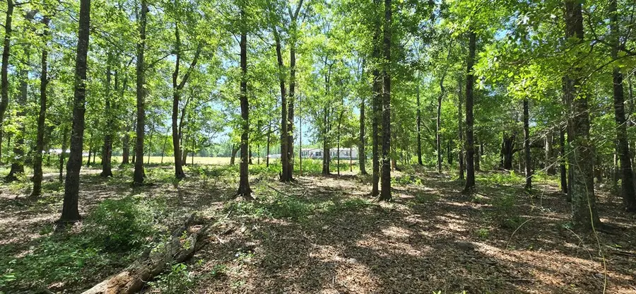 800 Grady Garner Rd (4.9 Acres), Slocomb, AL 36375 - #3