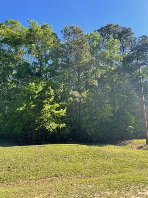 0 Green Road, Dothan, AL 36303