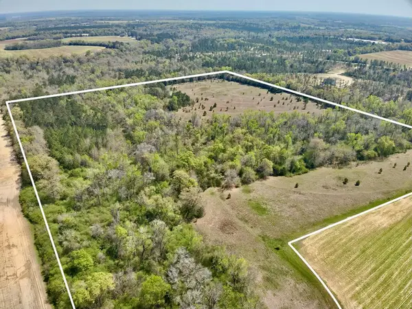 50 Acres Dillard Road, Pansey, AL 36370