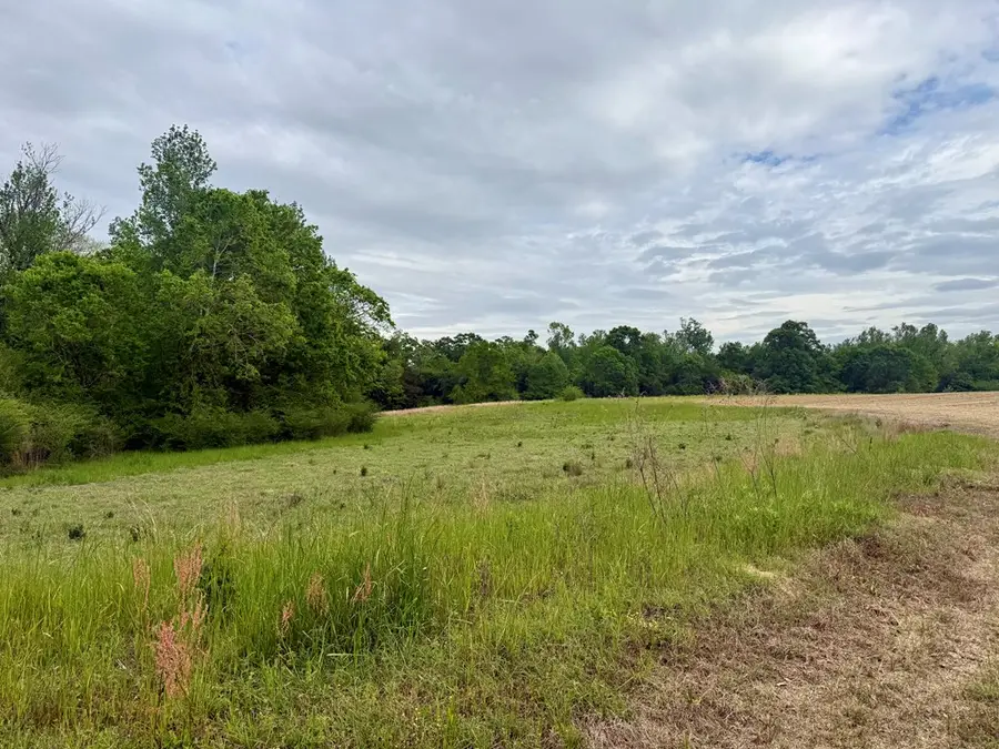 50 Acres Dillard Road, Pansey, AL 36370 - #2