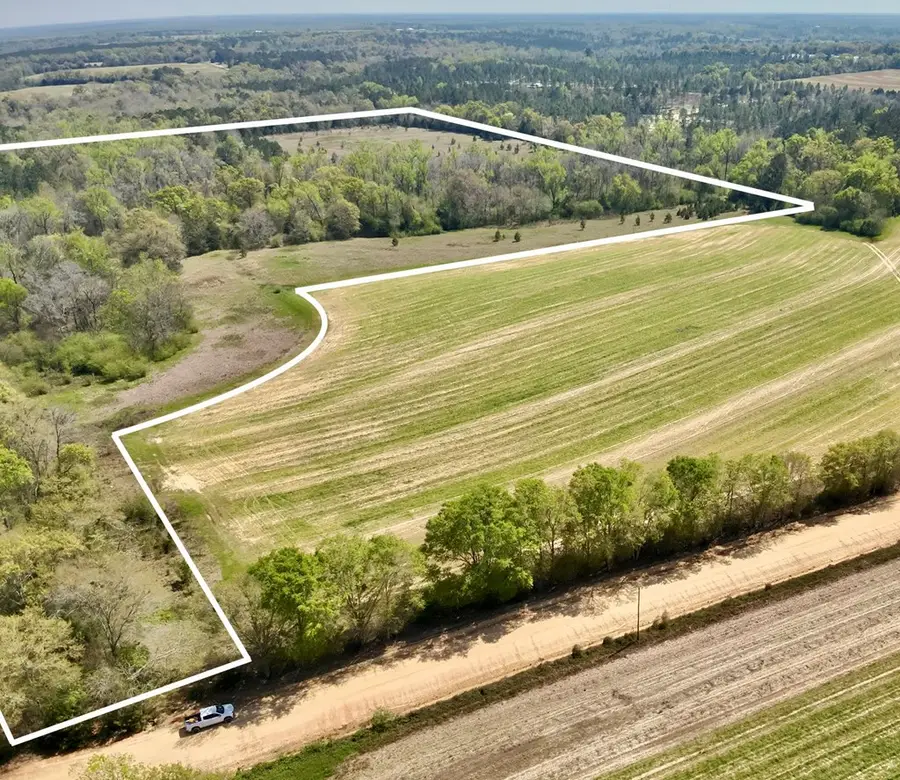 50 Acres Dillard Road, Pansey, AL 36370 - #3