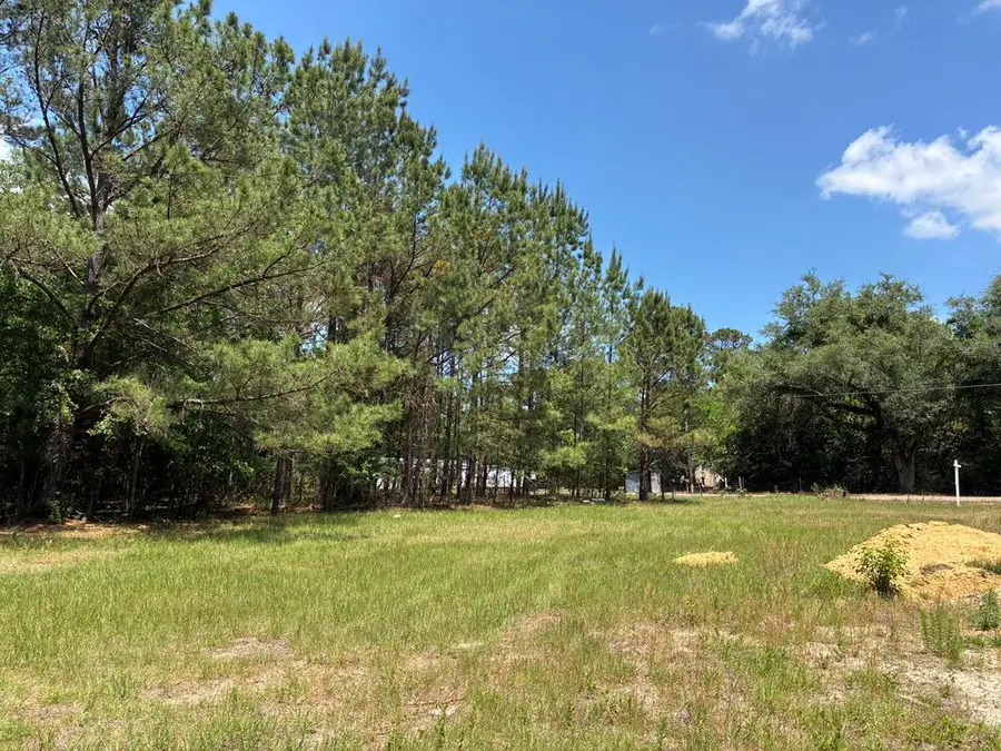 612 Edwin Reynolds Road, Cottonwood, AL 36320 - #2