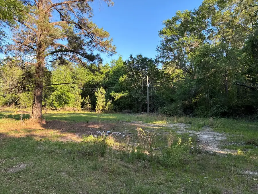 612 Edwin Reynolds Road, Cottonwood, AL 36320 - #3