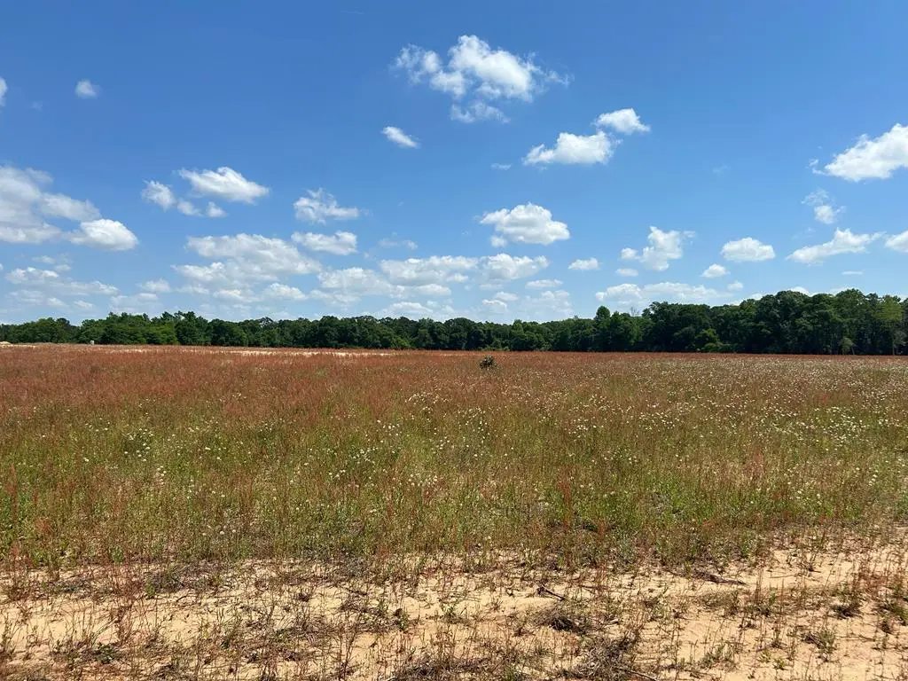 0 Singletary Rd, Slocomb, AL 36375 - #1