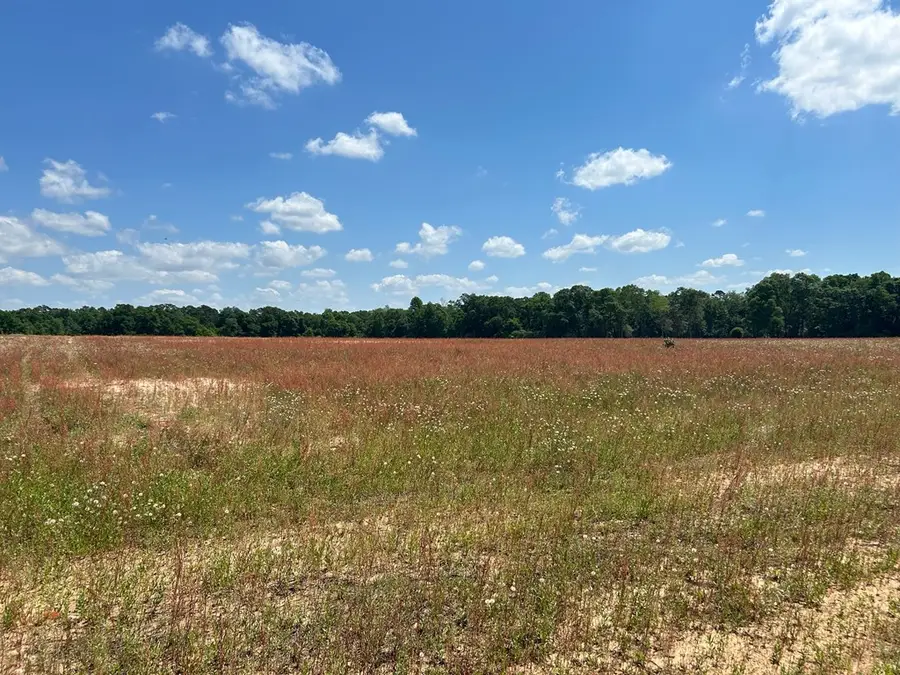 0 Singletary Rd, Slocomb, AL 36375 - #2