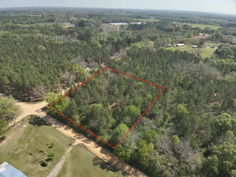 0 Grant Rd, Slocomb, AL 36375 - #2
