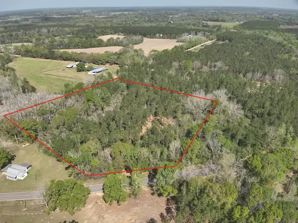 Lot 3 County Rd. 49, Slocomb, AL 36375