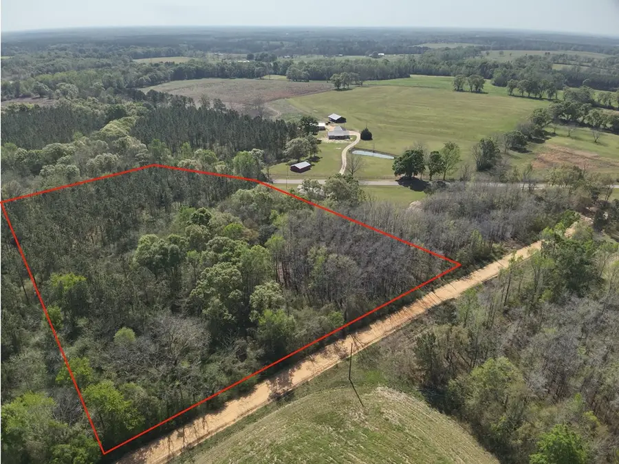 Lot 3 County Rd. 49, Slocomb, AL 36375 - #2