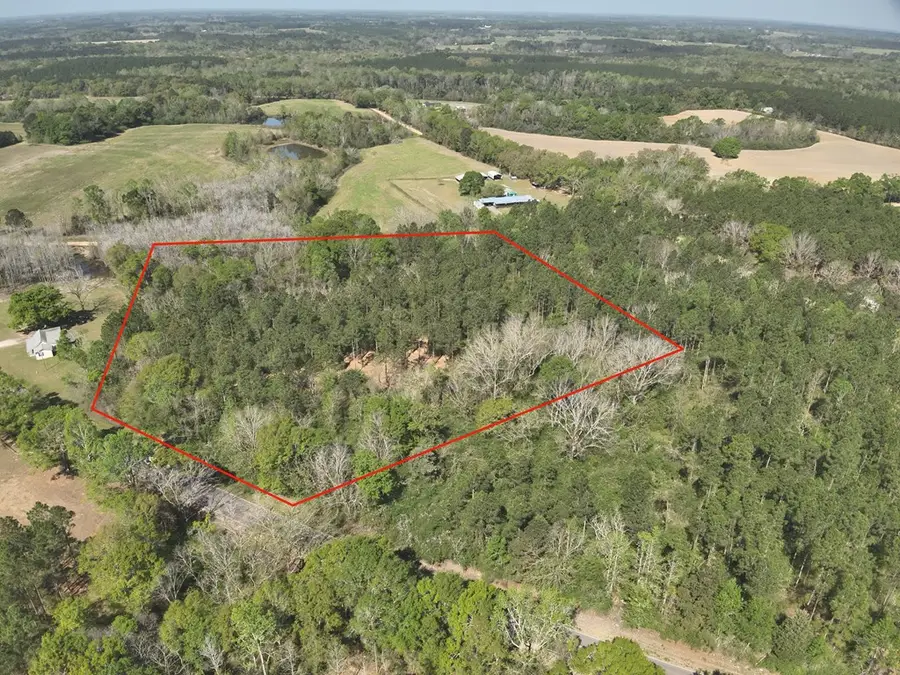 Lot 3 County Rd. 49, Slocomb, AL 36375 - #3