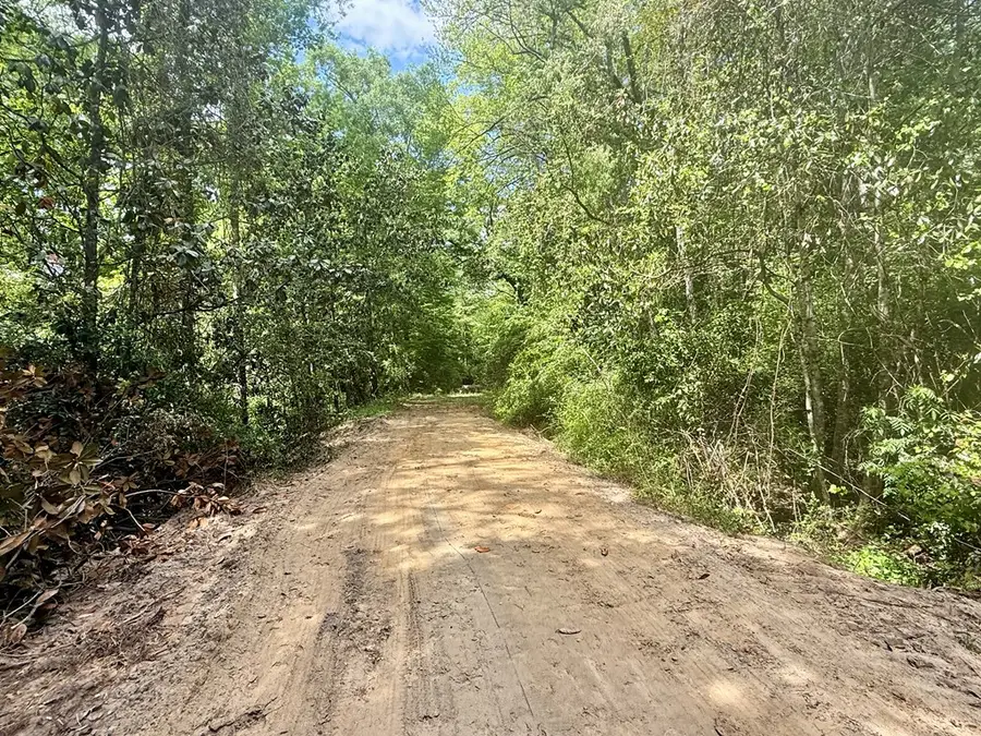 105 Acres County Road 16, Hartford, AL 36344 - #3