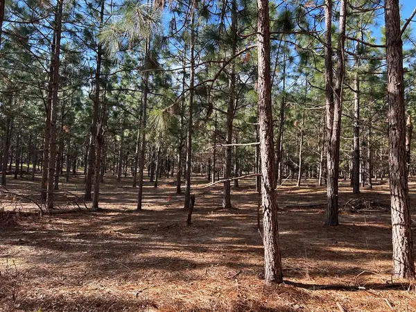 Lot 6, 3+-ac Cty Rd 18, Headland, AL 36345