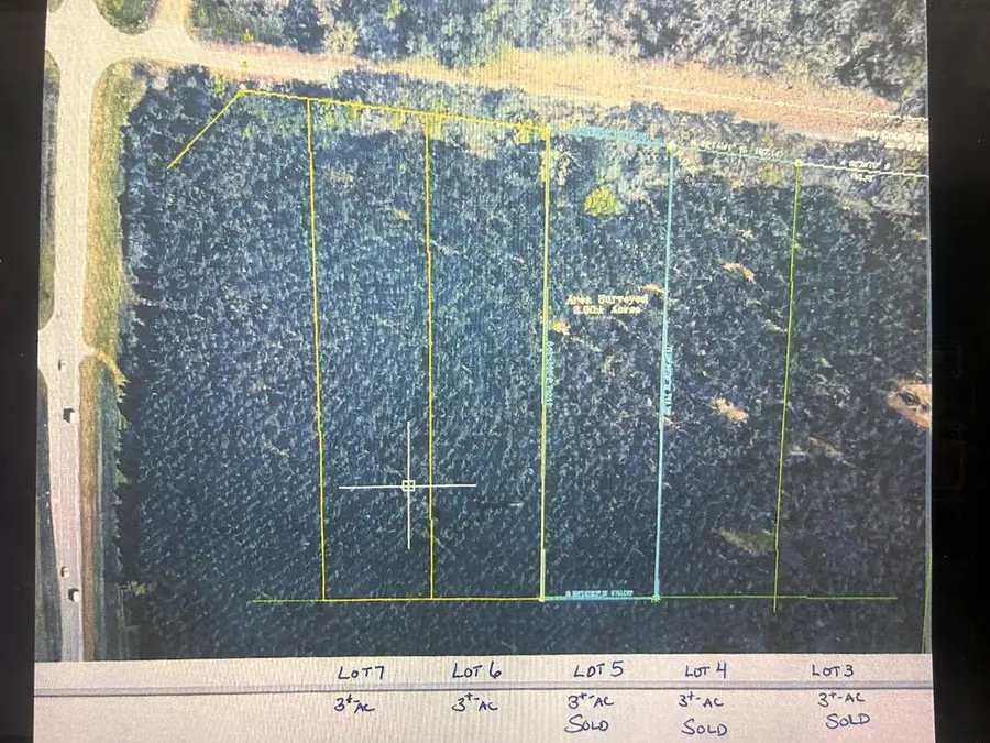 Lot 6, 3+-ac Cty Rd 18, Headland, AL 36345 - #2
