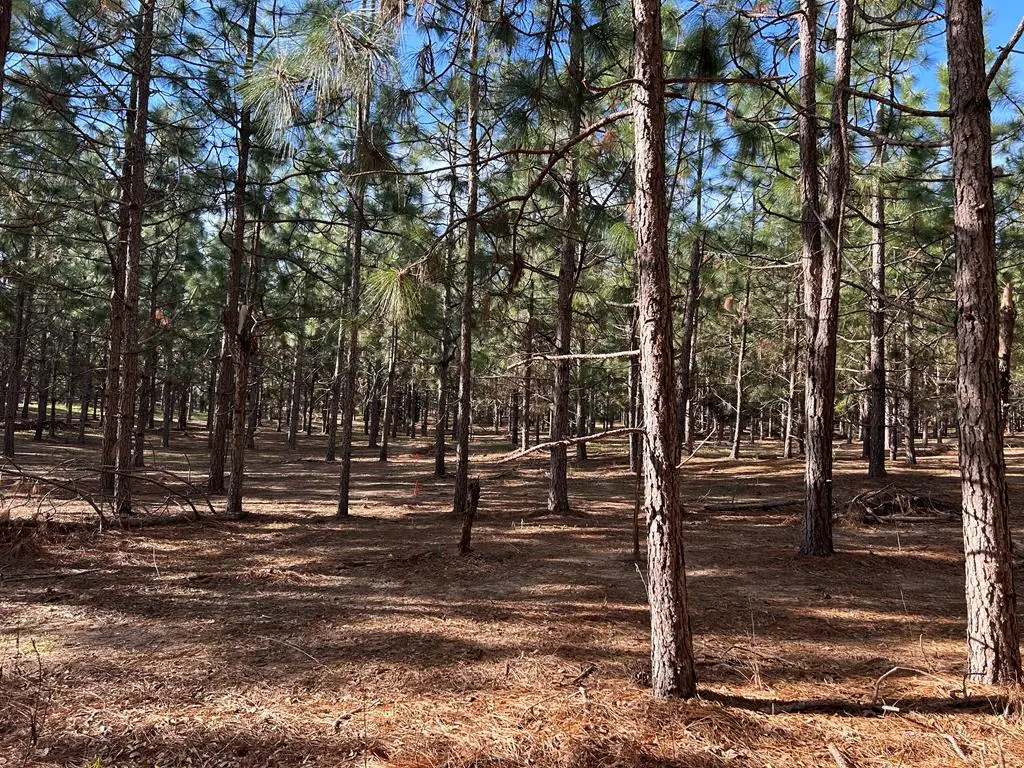 Lot 7, 3+-ac Cty Rd 18, Headland, AL 36345 - #1