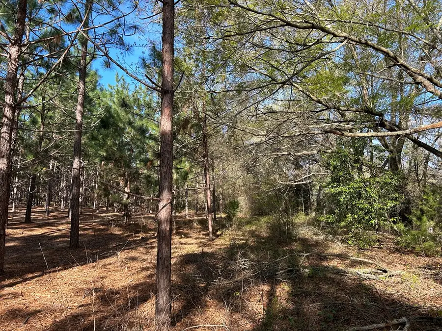 Lot 7, 3+-ac Cty Rd 18, Headland, AL 36345 - #3