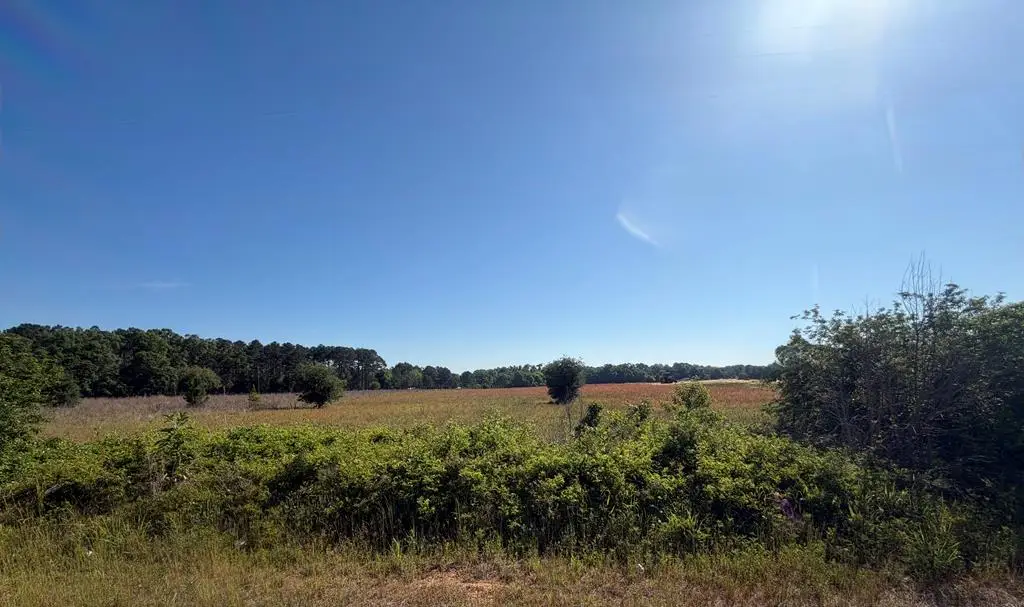 3 Acres Singletary Road, Slocomb, AL 36375 - #1