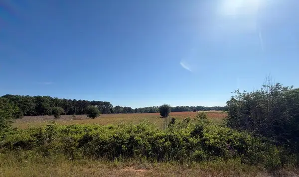3 Acres Singletary Road, Slocomb, AL 36375