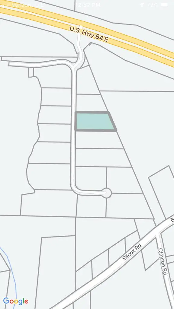 205 Thornberry Place, Ashford, AL 36312 - #3