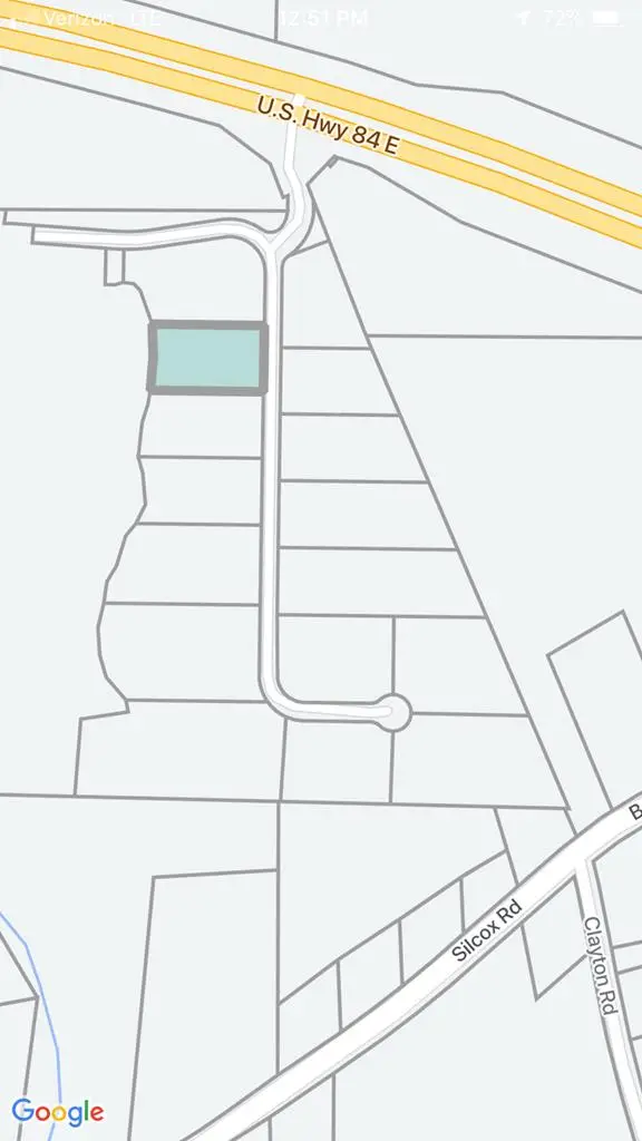 202 Thornberry Place, Ashford, AL 36312 - #3