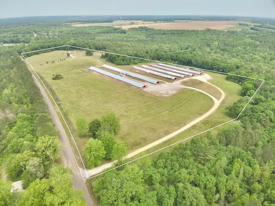 2065 County Road 6, Black, AL 36314 - #2