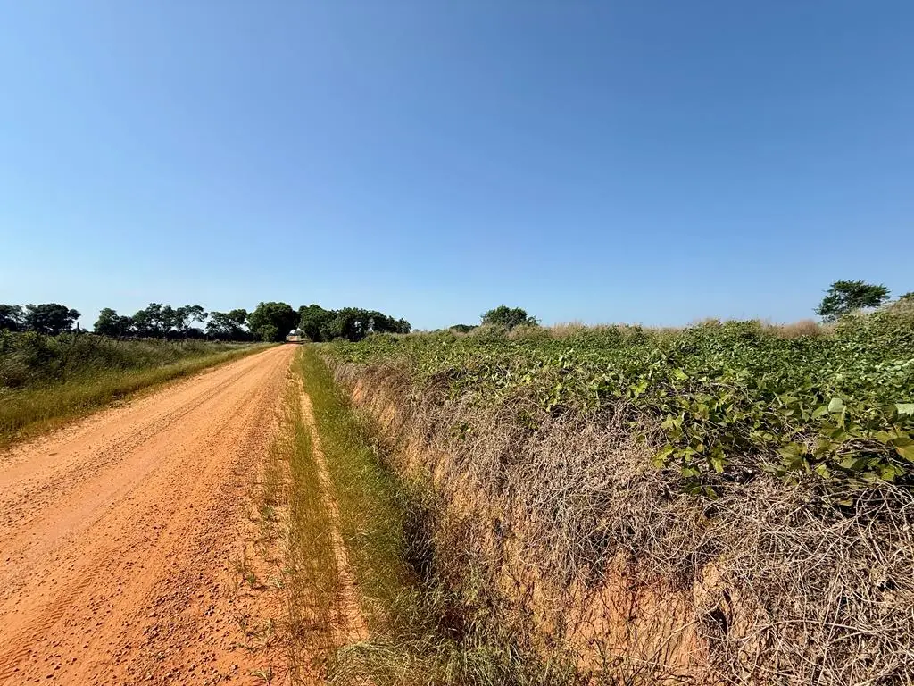 1.0 acre Hollis Dairy Rd Lot 1, Newton, AL 36352 - #1