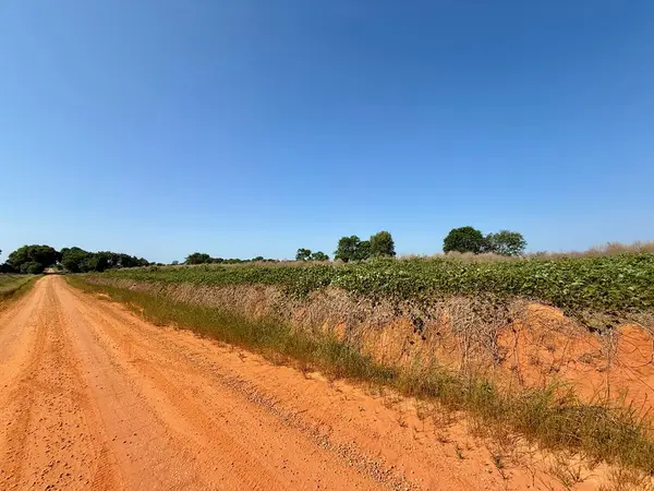 1.0 acre Hollis Dairy Rd Lot 2, Newton, AL 36352