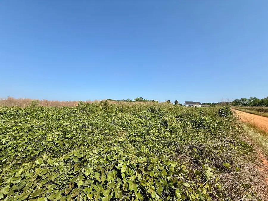 1.0 acre Hollis Dairy Rd Lot 2, Newton, AL 36352 - #2