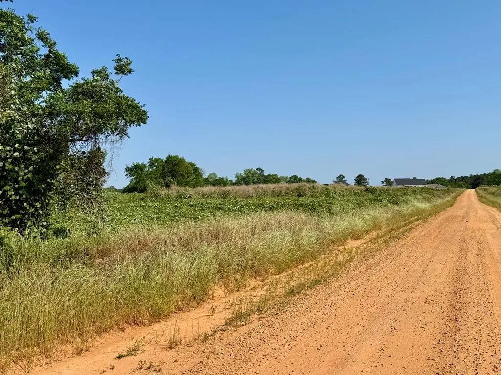 1.0 acre Hollis Dairy Road Lot 3, Newton, AL 36352 - #1