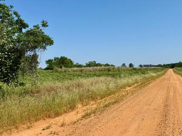 1.0 acre Hollis Dairy Road Lot 3, Newton, AL 36352
