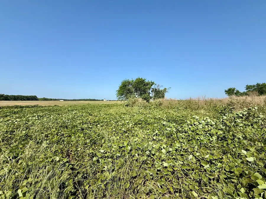 1.0 acre Hollis Dairy Road Lot 3, Newton, AL 36352 - #3