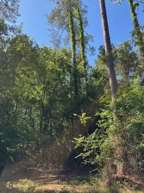 362 Freddie Whiddon Rd, Webb, AL 36376 - #3