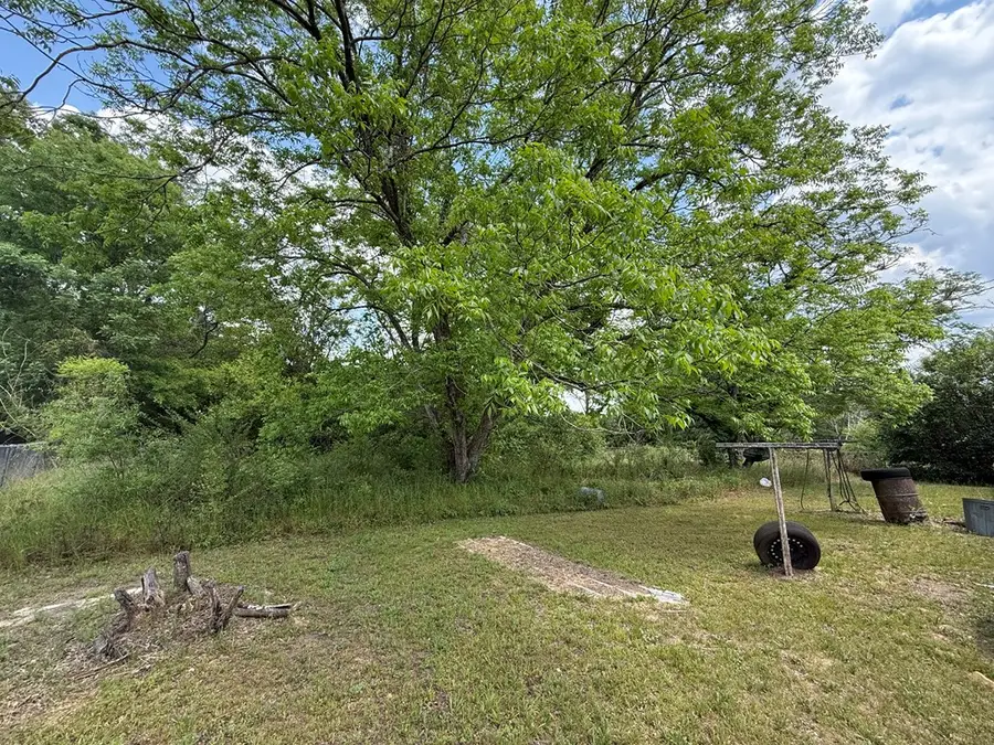 2074 Cr 40, Abbeville, AL 36310 - #3