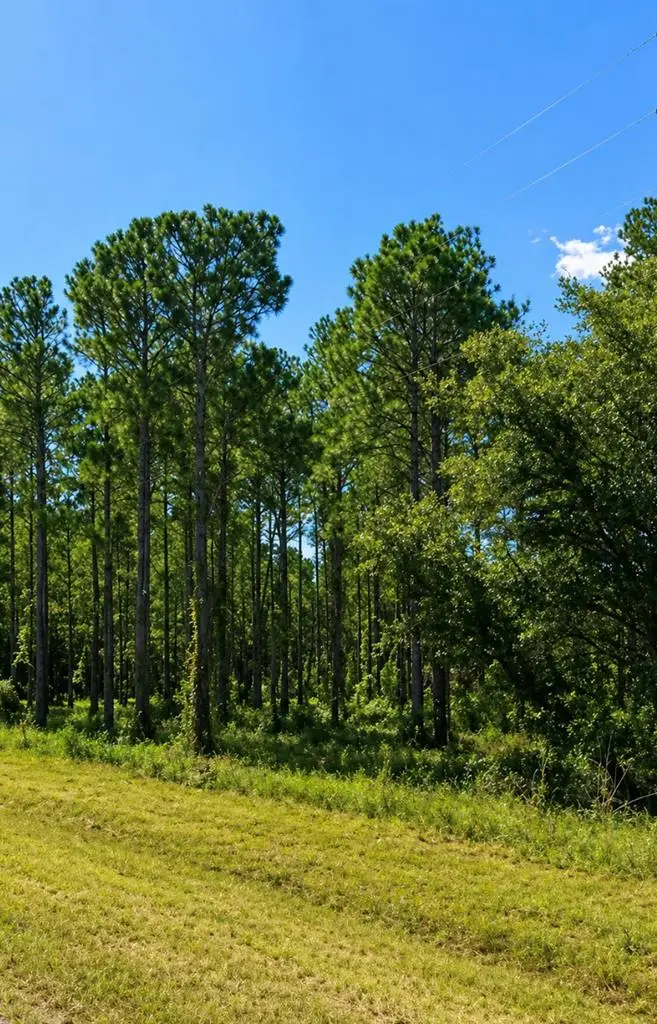 0 S State Hwy 109, Dothan, AL 36301 - #1