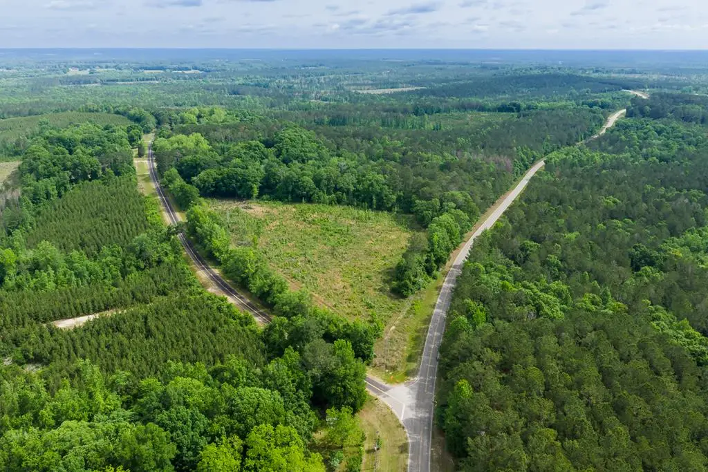 0 County Road 307, Glenwood, AL 36034 - #1