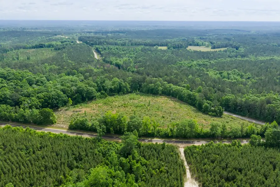 0 County Road 307, Glenwood, AL 36034 - #3