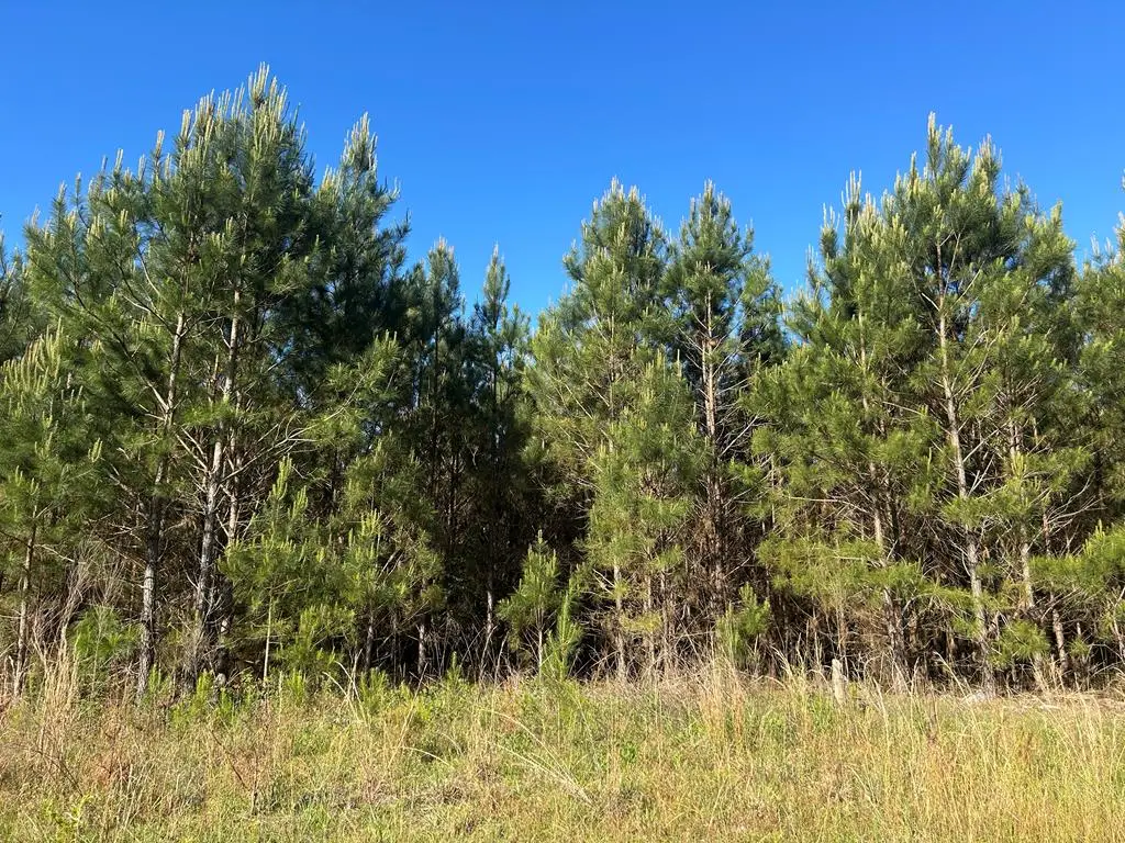 3574 Cottonwood Rd, Dothan, AL 36301 - #1